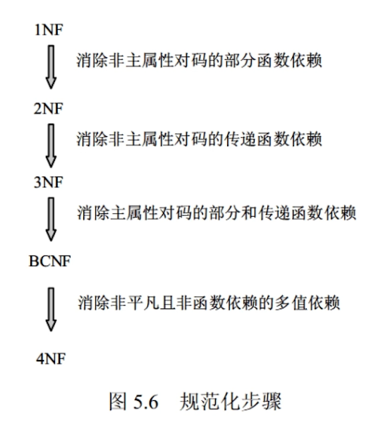 image-20250206205909423