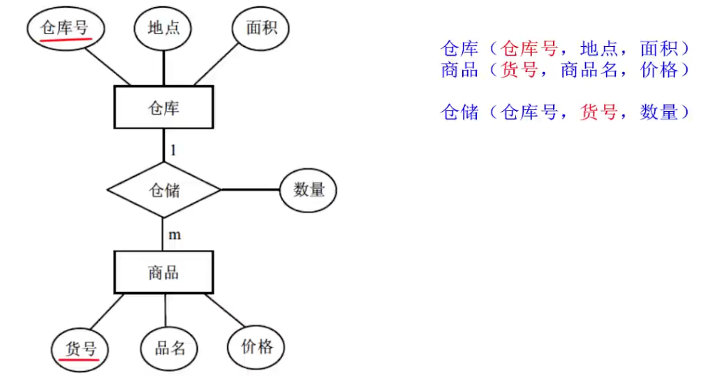 image-20250208205531531