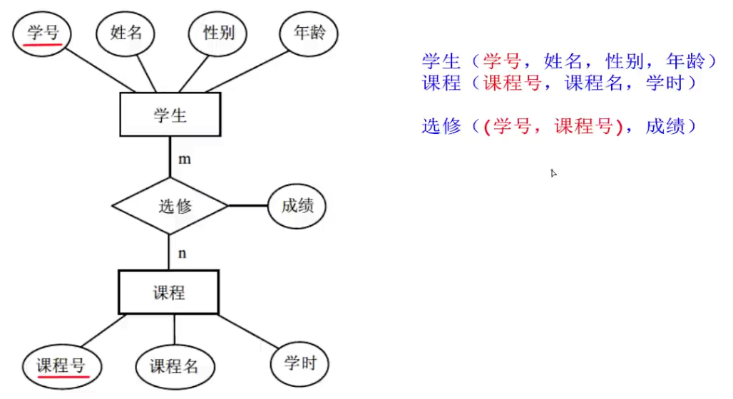 image-20250208205913512